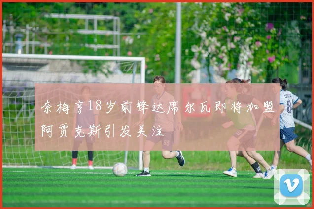 奈梅亨18岁前锋达席尔瓦即将加盟阿贾克斯引发关注
